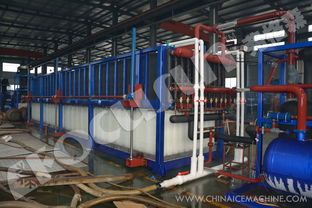 弗格森大型日產250噸鋁板蒸發式直冷塊冰機 長期供應全球大型制冰工廠