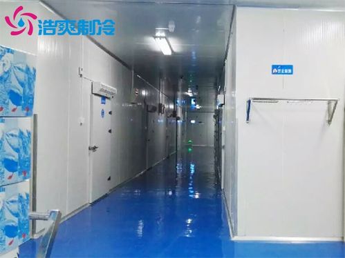 水產(chǎn)冷庫建造一個(gè)100平方的海鮮速凍冷庫造價(jià)